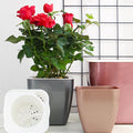 Self Watering Pots for Indoor Plants, Flower Pots Outdoor, Self Watering Planter, Plant Pots with Decorative Stones, Flower Pot, Plant Pots Indoor, Flower Pots Indoor