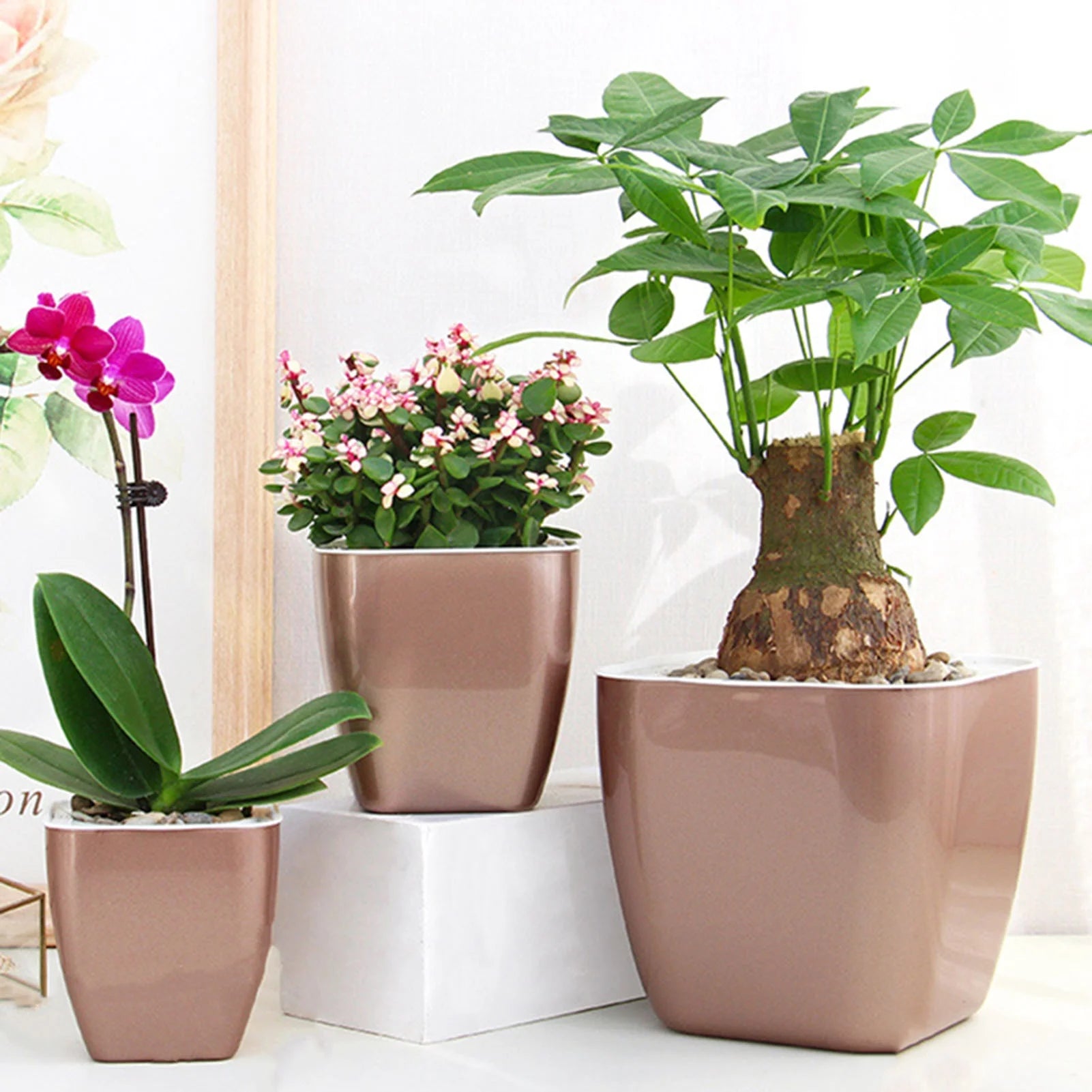 Self Watering Pots for Indoor Plants, Flower Pots Outdoor, Self Watering Planter, Plant Pots with Decorative Stones, Flower Pot, Plant Pots Indoor, Flower Pots Indoor