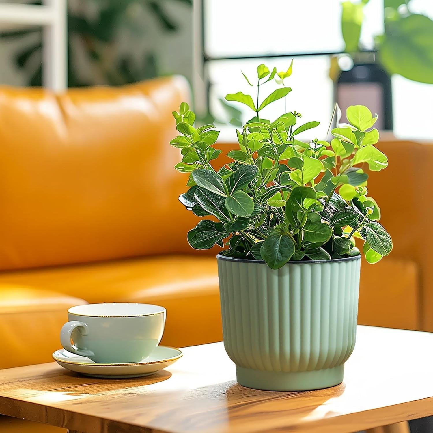 4.5 Inch Plant Pots Self Watering, 6 Pack African Violet Pots, Small Plant Pots for Plants, Small Indoor Plant Pot, Self Watering Planter for African Violet, Succulents (6 Pack 4.5" Pots, Green)