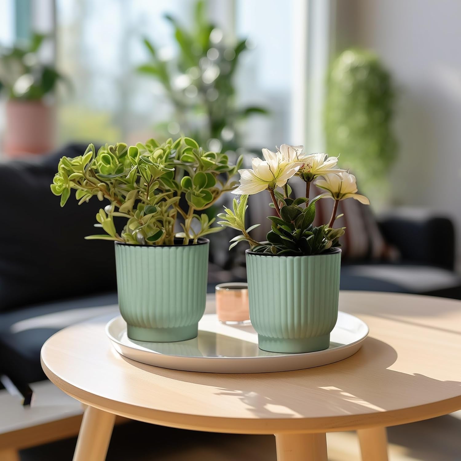 4.5 Inch Plant Pots Self Watering, 6 Pack African Violet Pots, Small Plant Pots for Plants, Small Indoor Plant Pot, Self Watering Planter for African Violet, Succulents (6 Pack 4.5" Pots, Green)