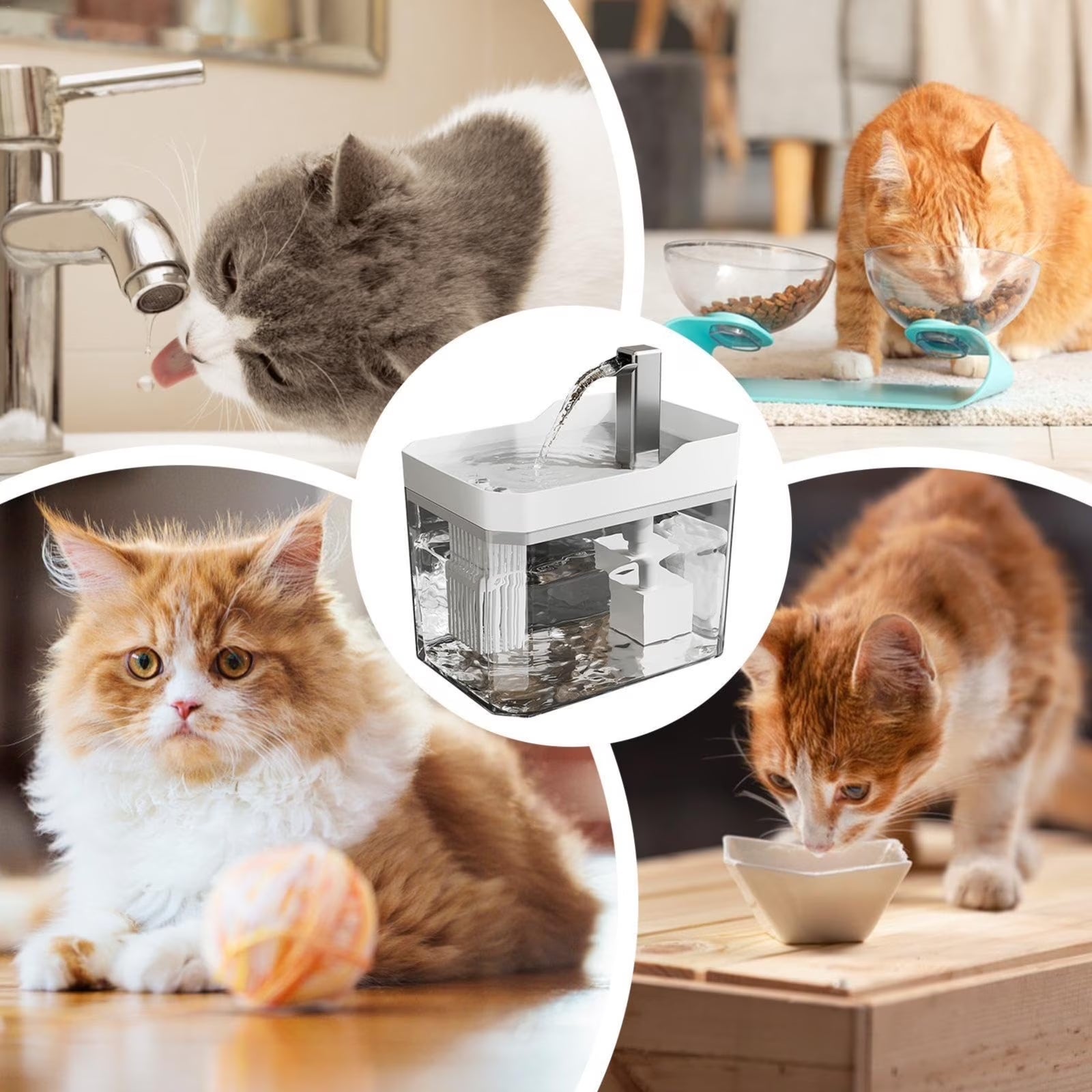 Automatic Pet Water Dispenser Silent Circulating Fountain for Cats Dogs Pet Water Fountain Cat Water Fountain Dog Water Fountain Pet Fountain